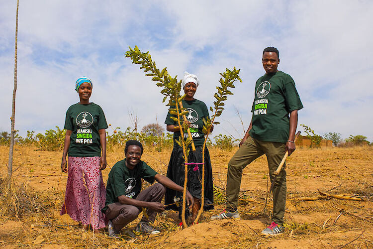 Een groenere wereld: bomen als relatiegeschenk